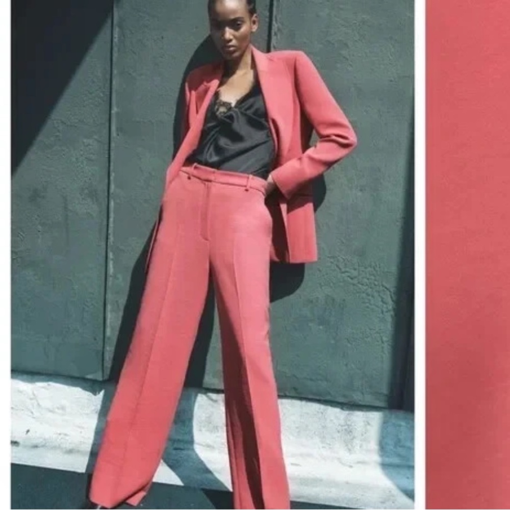 Zara Double-Breasted Pink Blazer